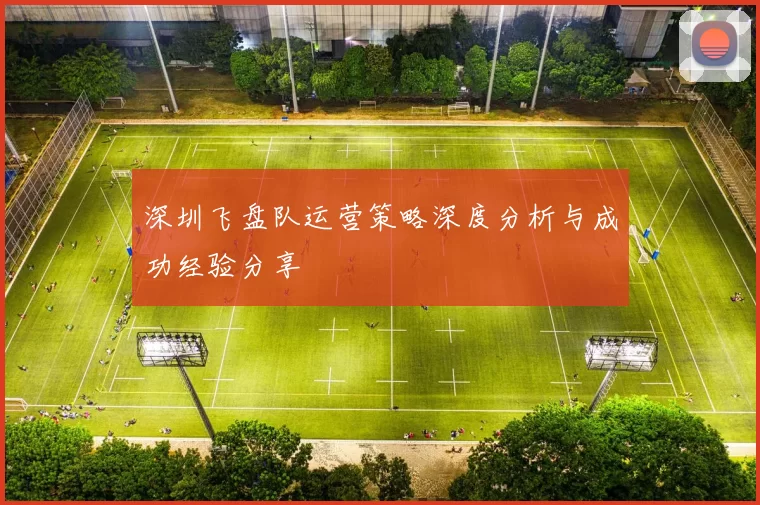 深圳飞盘队运营策略深度分析与成功经验分享