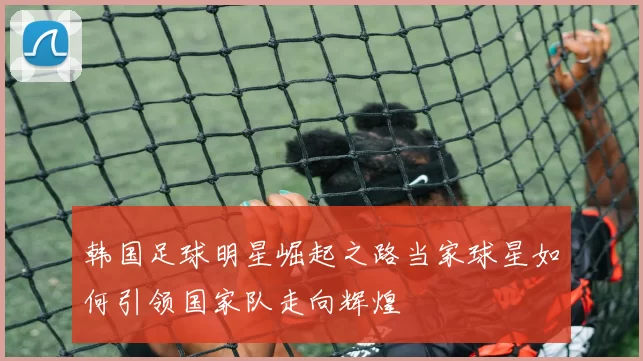 韩国足球明星崛起之路当家球星如何引领国家队走向辉煌