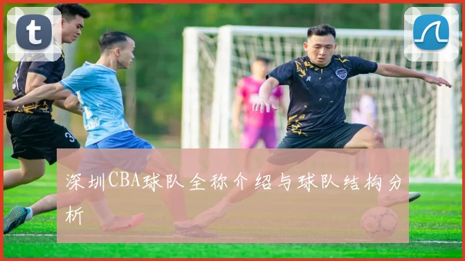深圳CBA球队全称介绍与球队结构分析