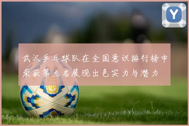 武汉乒乓球队在全国意识排行榜中荣获第九名展现出色实力与潜力