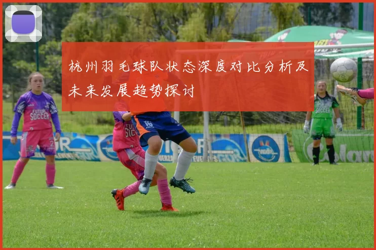 杭州羽毛球队状态深度对比分析及未来发展趋势探讨