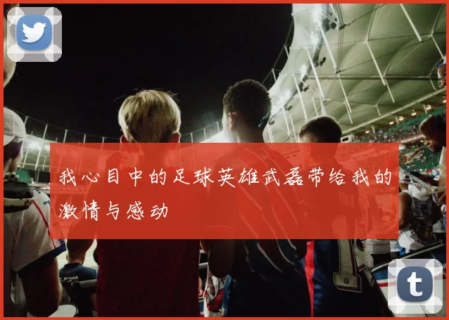 我心目中的足球英雄武磊带给我的激情与感动