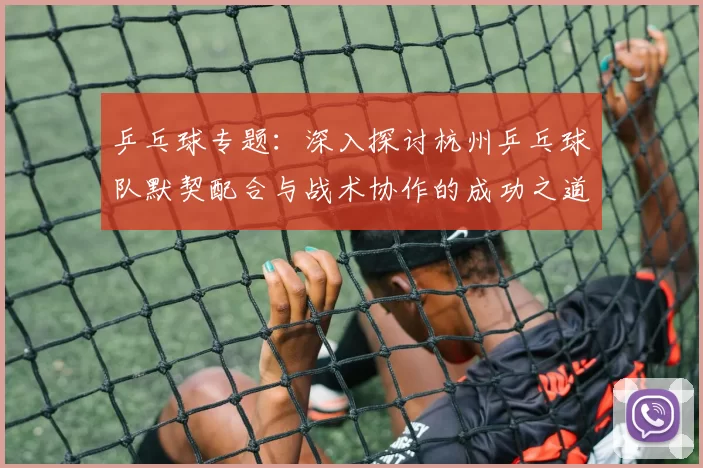 乒乓球专题：深入探讨杭州乒乓球队默契配合与战术协作的成功之道