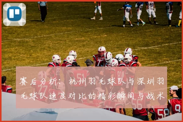 赛后分析：杭州羽毛球队与深圳羽毛球队速度对比的精彩瞬间与战术探讨