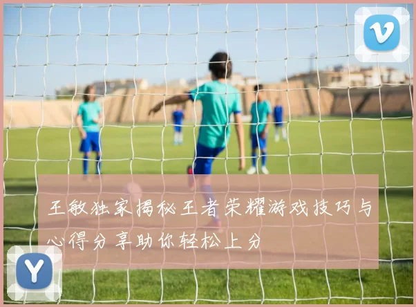 王敏独家揭秘王者荣耀游戏技巧与心得分享助你轻松上分