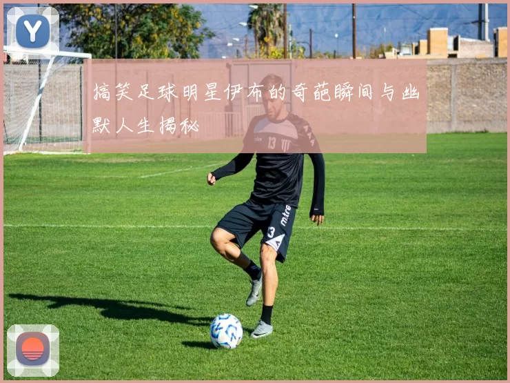 搞笑足球明星伊布的奇葩瞬间与幽默人生揭秘