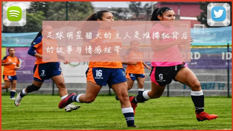 足球明星猎犬的主人是谁揭秘背后的故事与情感纽带