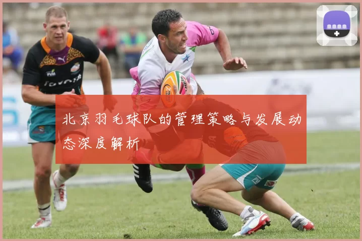 北京羽毛球队的管理策略与发展动态深度解析