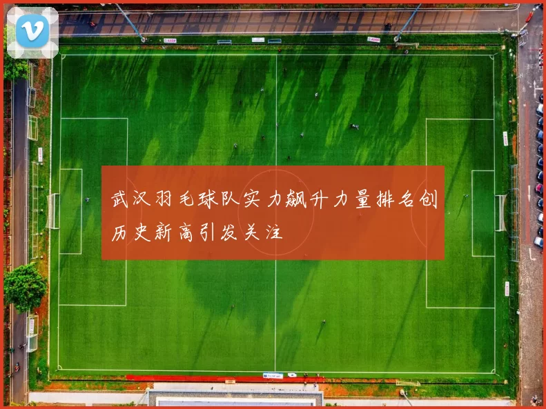 武汉羽毛球队实力飙升力量排名创历史新高引发关注