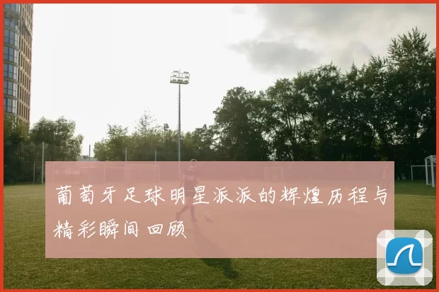 葡萄牙足球明星派派的辉煌历程与精彩瞬间回顾