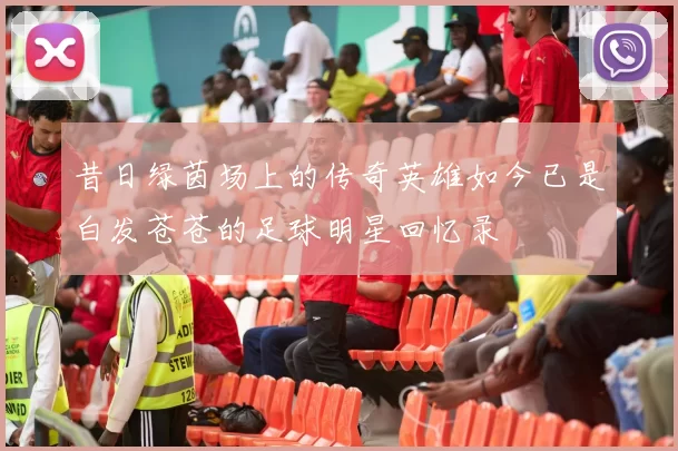 昔日绿茵场上的传奇英雄如今已是白发苍苍的足球明星回忆录