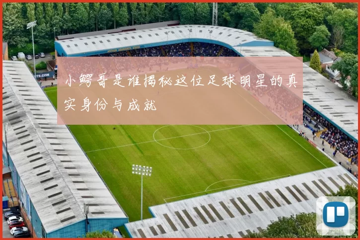 小鳄哥是谁揭秘这位足球明星的真实身份与成就