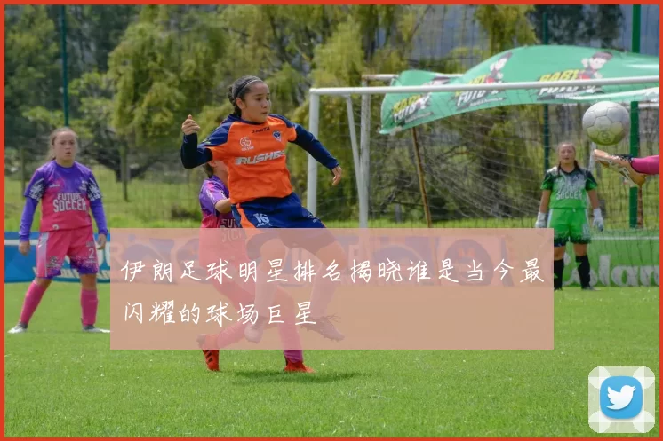 伊朗足球明星排名揭晓谁是当今最闪耀的球场巨星