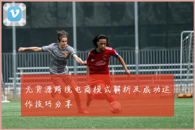 无货源跨境电商模式解析及成功运作技巧分享