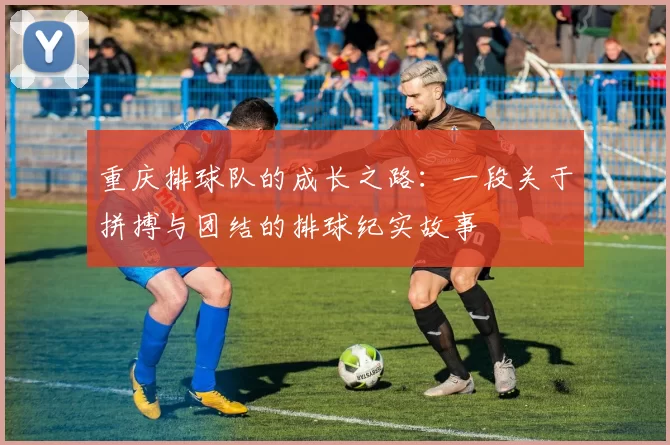 重庆排球队的成长之路：一段关于拼搏与团结的排球纪实故事