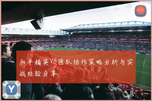 和平精英V5团队协作策略分析与实战经验分享