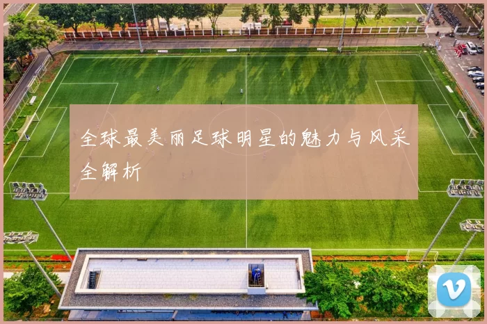 全球最美丽足球明星的魅力与风采全解析