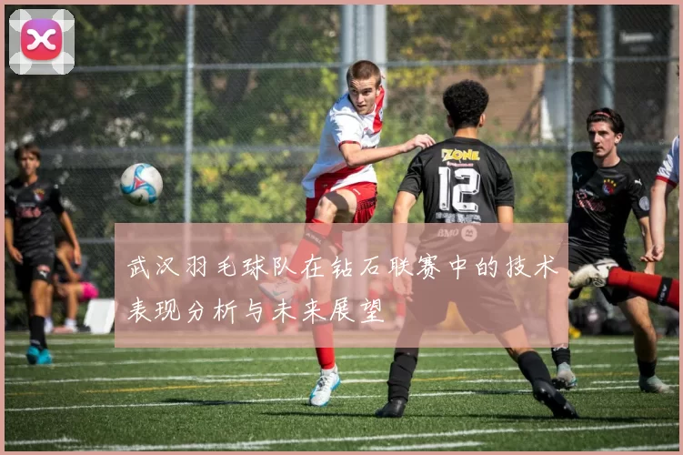 武汉羽毛球队在钻石联赛中的技术表现分析与未来展望