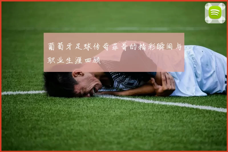 葡萄牙足球传奇菲哥的精彩瞬间与职业生涯回顾