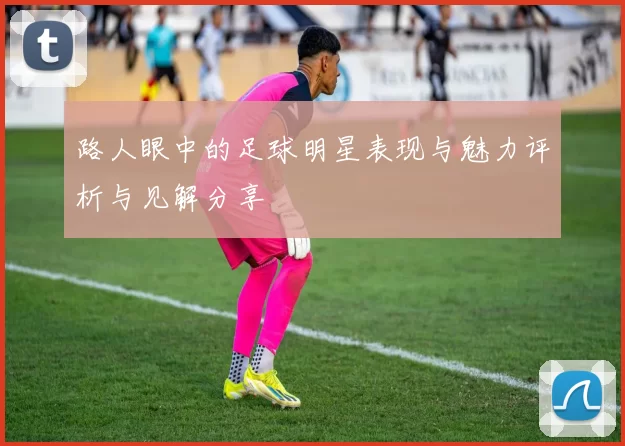 路人眼中的足球明星表现与魅力评析与见解分享