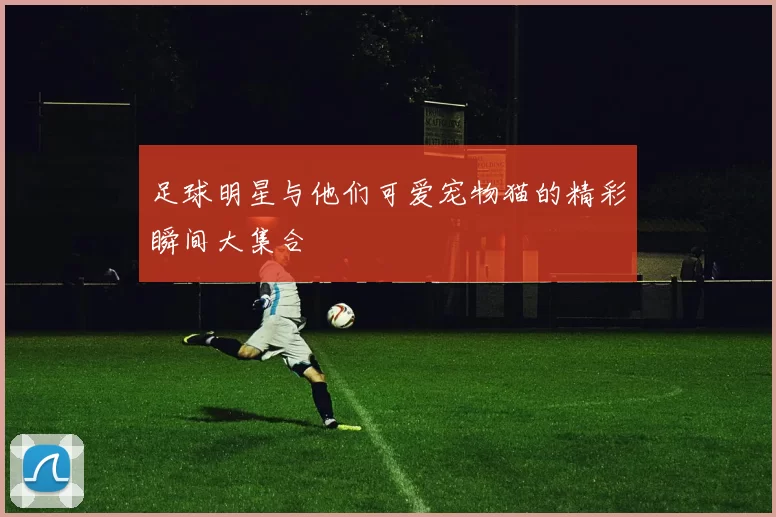 足球明星与他们可爱宠物猫的精彩瞬间大集合
