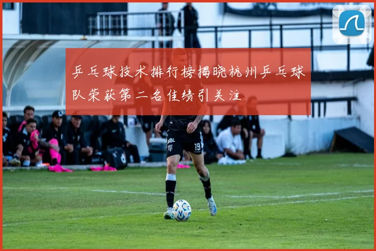 乒乓球技术排行榜揭晓杭州乒乓球队荣获第二名佳绩引关注