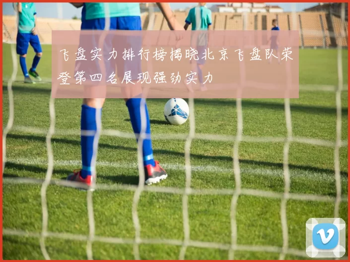 飞盘实力排行榜揭晓北京飞盘队荣登第四名展现强劲实力