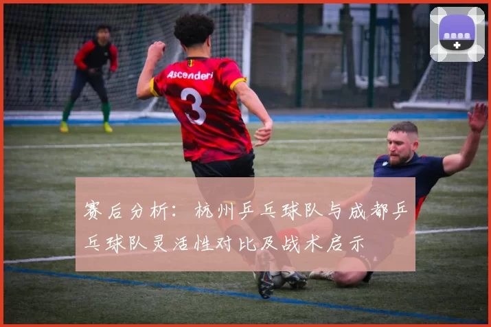 赛后分析：杭州乒乓球队与成都乒乓球队灵活性对比及战术启示