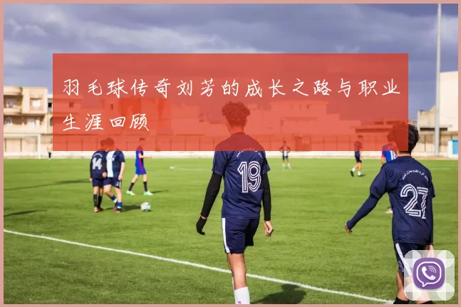 羽毛球传奇刘芳的成长之路与职业生涯回顾