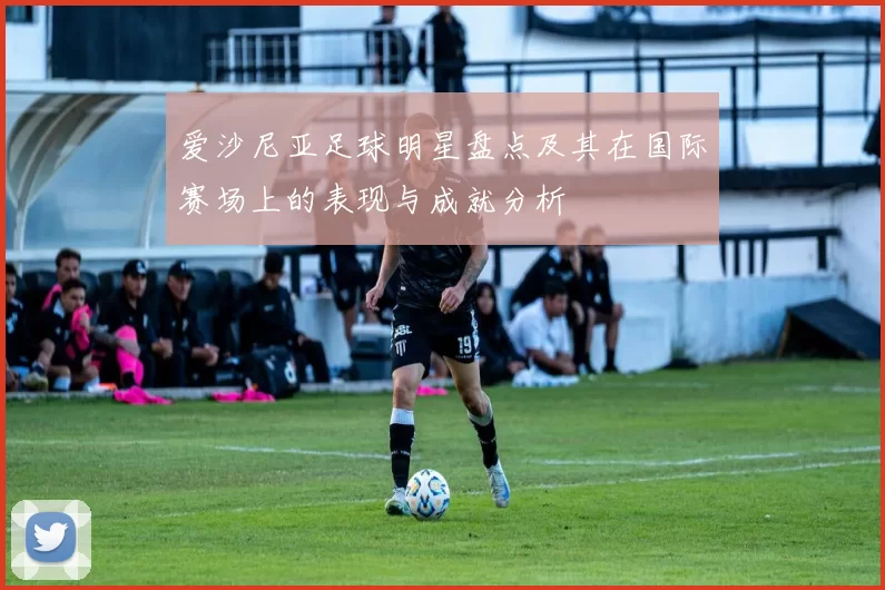 爱沙尼亚足球明星盘点及其在国际赛场上的表现与成就分析