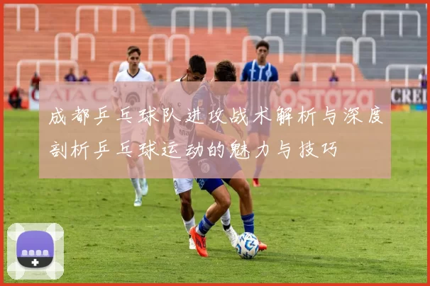 成都乒乓球队进攻战术解析与深度剖析乒乓球运动的魅力与技巧