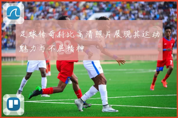 足球传奇科比高清照片展现其运动魅力与不屈精神