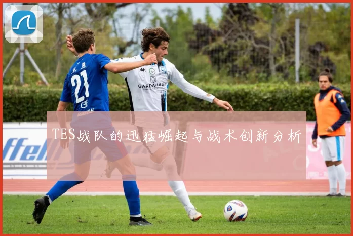 TES战队的迅猛崛起与战术创新分析
