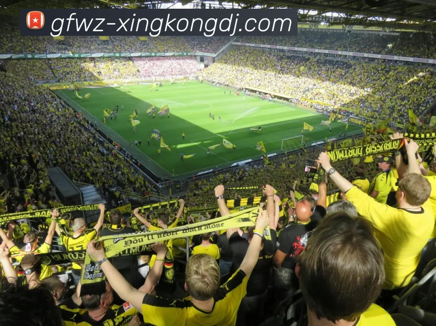 星空体育服务体系